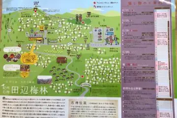 A map shows the way through the orchard