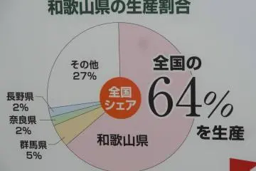 The stats speak for themselves: Wakayama ranks top in ume production