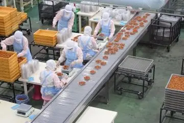 A visit to Nakata Food's factory, seen from behind a window