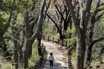 One of the many hiking trails