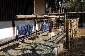 Some of the indigo dyed handkerchiefs are dried outside