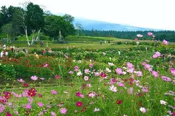The naturally beautiful Kurohime Plateau