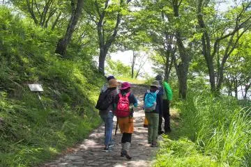 On a guided Forest Therapy walk in Yoshino, Nara Prefecture