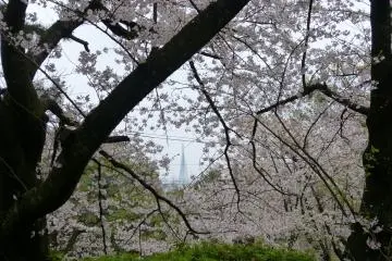 Nishi Park, Fukuoka