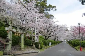Ogi Park, Saga