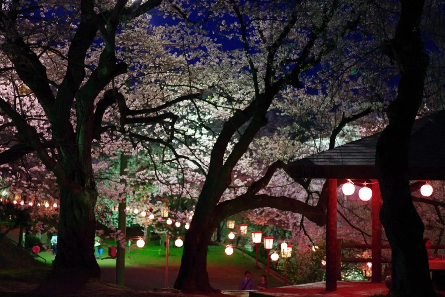 Eboshiyama Park (Photo: Tomofumi Sato / CC BY-SA 3.0)