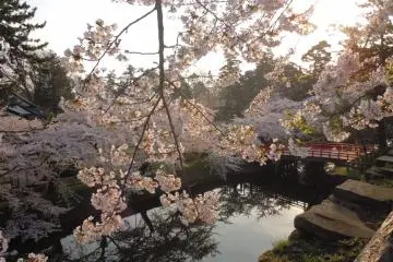 Hirosaki Castle Park, Aomori