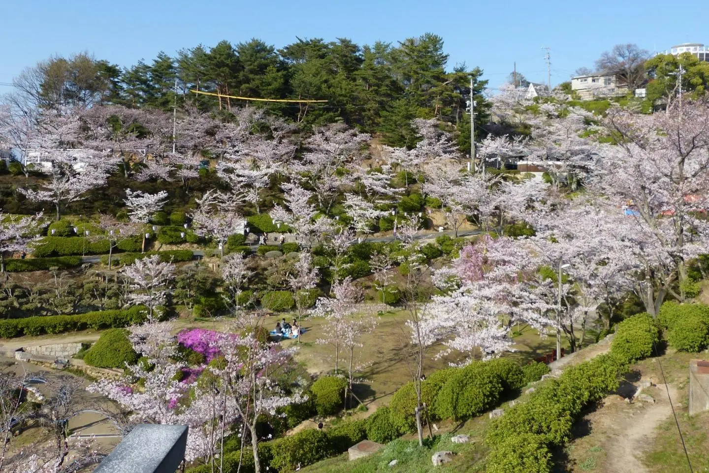 Senkoji Park (Photo: アラツク/CC By SA 4.0)