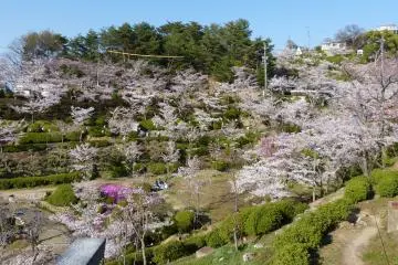 Senkoji Park