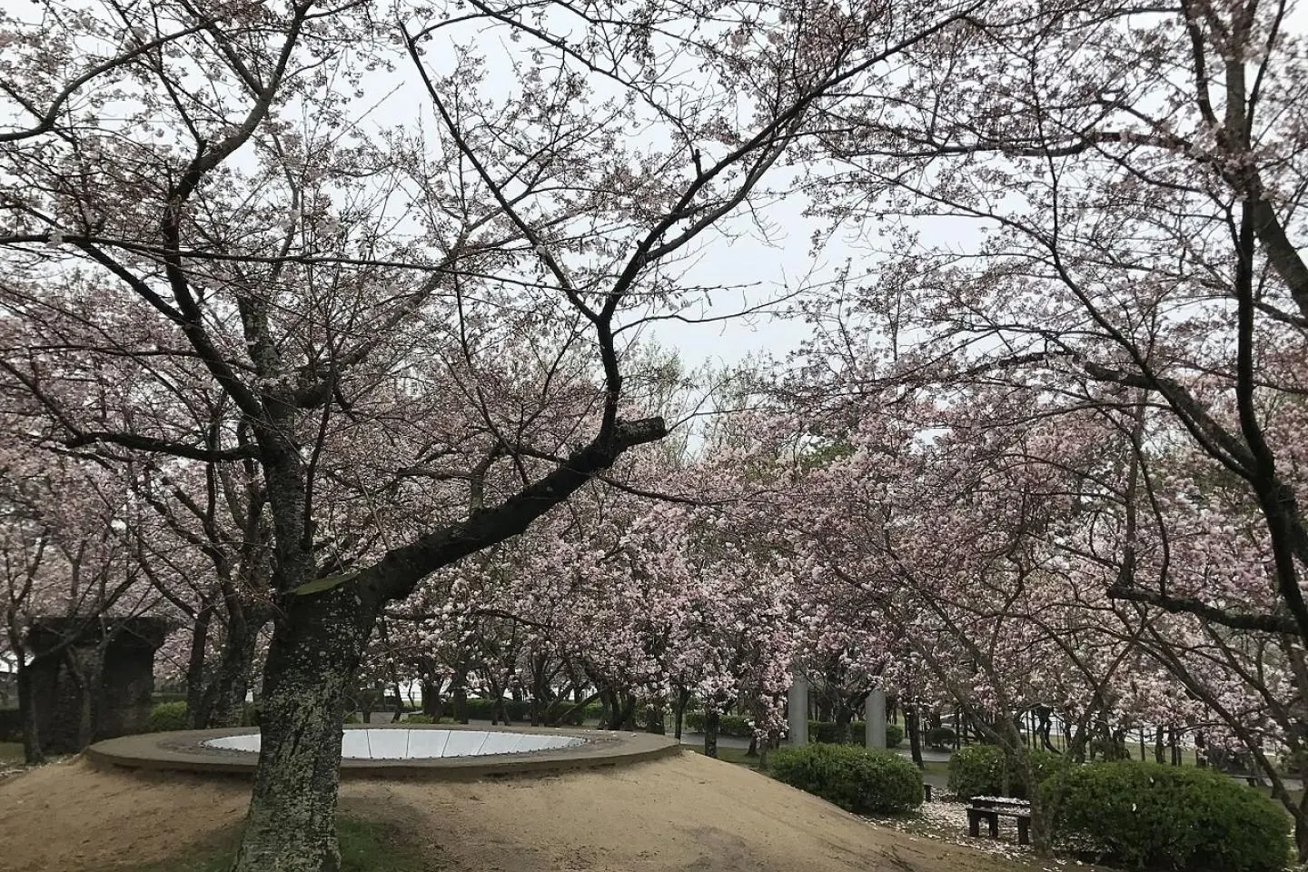 Tokiwa Park, Yamaguchi (Photo: そらみみ/CC By SA 4.0)
