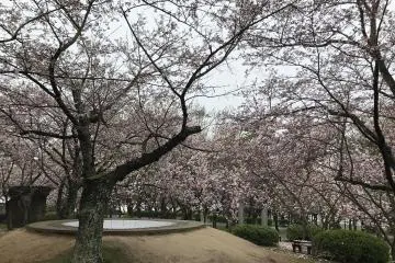 Tokiwa Park, Yamaguchi