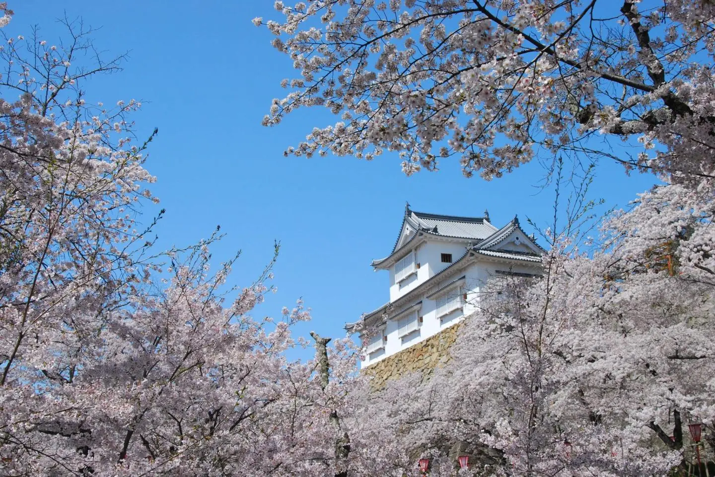 Kakuzan Park by Tsuyama Castle (Photo: denteru/CC By SA 3.0)