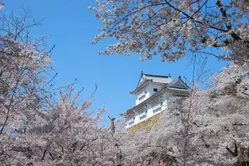 Kakuzan Park by Tsuyama Castle