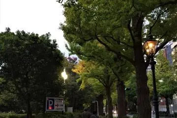 Yamashita Koen Street with gas lamps
