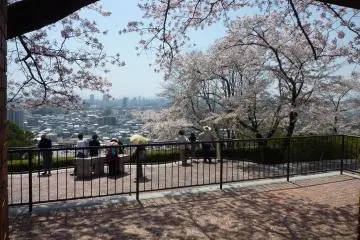 Beautiful blooms and great views