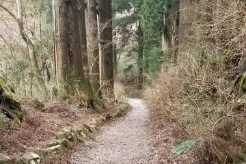 Walking along Cedar Avenue