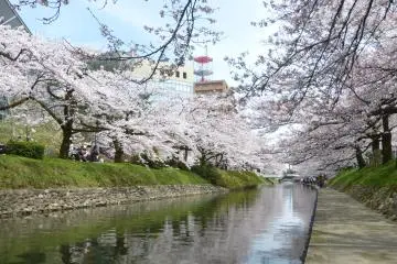 Sakura Season and Spring Cruise at Toyama's Matsukawa Park 2027