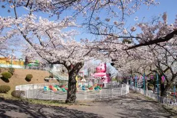 Spring Festival at Kamine Park 2027