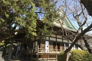Gallery image