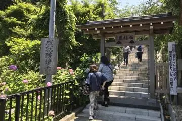 The approach to Joju-in during hydrangea season
