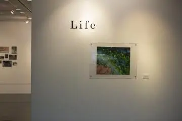 Kobe Art Village Centre