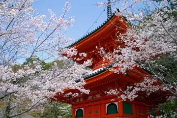 Kimiidera Temple