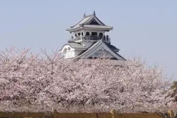Hokoen and Nagahama Castle, Shiga