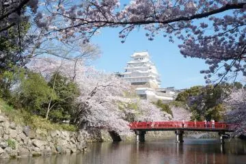 5 of Kansai's Top Cherry Blossom Spots