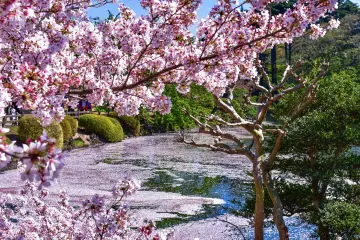 Shinjuku Höhepunkte