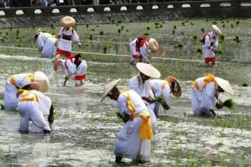 Otaue Rice Planting Festival in Osaka (Photo: <a href="https://en.japantravel.com/osaka/otaue-sumiyoshi-rice-planting-festival/5028" target="_blank" rel="noreferrer noopener nofollow">Mandy Bartok</a> / JT)