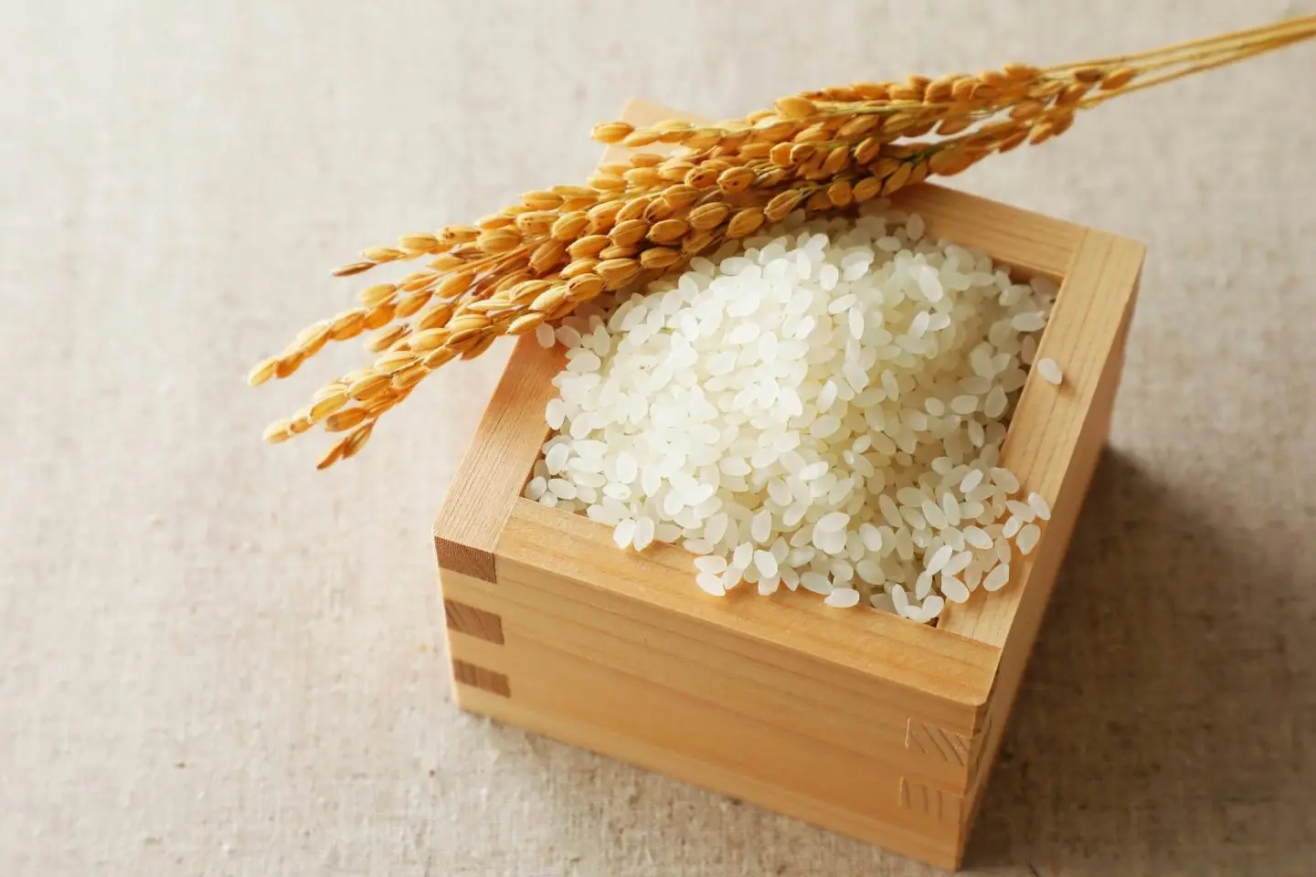 An Introduction to Japanese Rice