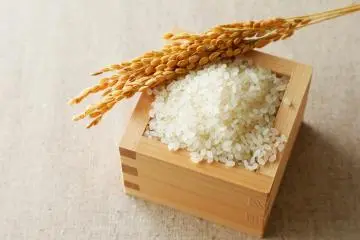 An Introduction to Japanese Rice