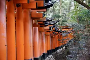 Famous rows of torii at Fushimi Inari Taisha