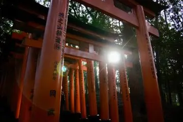 Another Fushimi Inari Taisha torii shot 