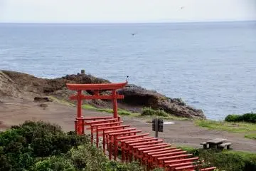 Torii at Motonosumi Inari shrine in Yamaguchi