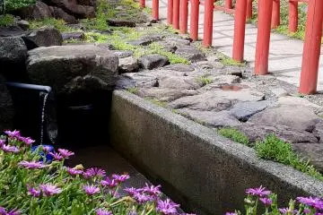 Row of Motonosumi Inari shrine torii