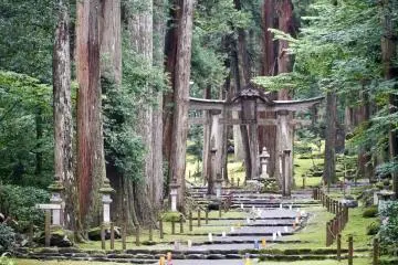 A wooden torii leading you into the moss shrine of Heisenji Hakusan