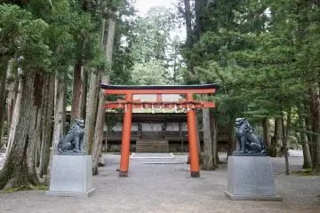 Torii 