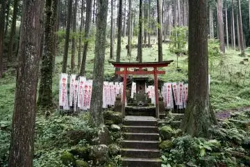 This torii can be found in an enchanted forest between hundreds of stone figurines at Choanji temple in the Hakone mountains