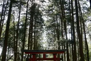 ...leading you to the places where the kami live live