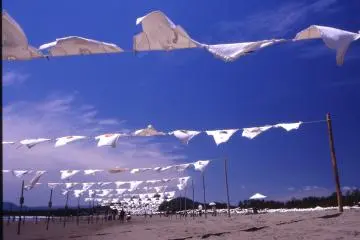 Happily flapping.