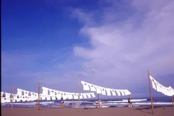 Looks nice, right?