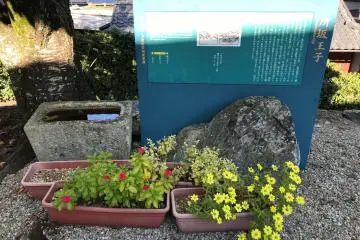 A small signboard reminds us that the Kumano Kodo trail is running along here. 