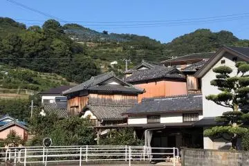 The local neighborhood; on the surrounding hills are mandarin orchards. 
