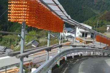 All the roads in the village are lined with these Kushigaki shelters.