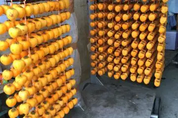 Before hanging them up outside, the peeled persimmon are put on skewers. 