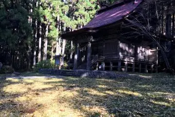 Gallery image