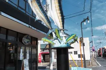 Oarai Marlin Museum
