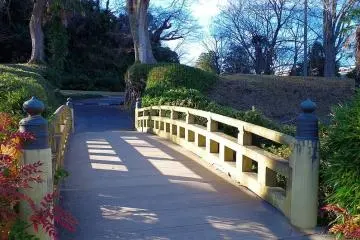 Sakura City Guide