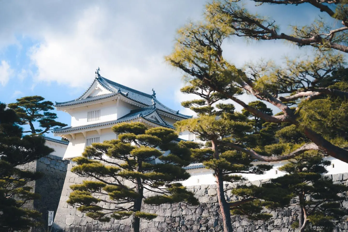 Nihonmatsu Castle  (Photo: @markoxley_photography)